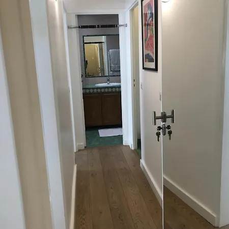 Trocadero-tour Eiffel-champs Elysees *